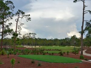 Calusa Pines 14th